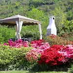 Legnoncino Home- * Colico